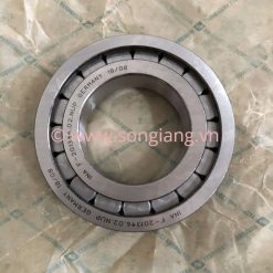 vong-bi-F-201346.02.NUP