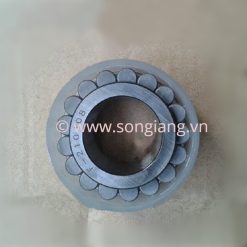 vong-bi-F-210408.RNN