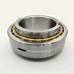 Vòng bi 230SM125MA, Bạc đạn 230SM125MA