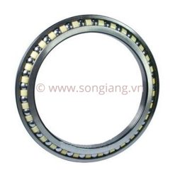 Vòng bi NTN SF4454VPX1 220x295x33 mm, Bạc đạn NTN SF4454VPX1 220x295x33 mm