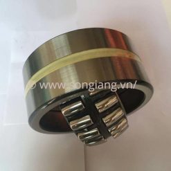 Vòng bi PMP7.1 R130 110x180x69mm, Bạc đạn PMP7.1 R130 110x180x69mm