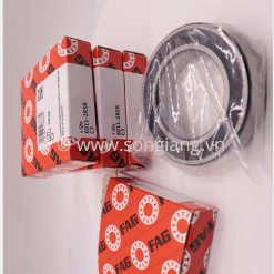 Vòng bi FAG 6011-2RSR C3, Bạc đạn FAG 6011-2RSR C3