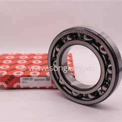 Vòng bi Bạc đạn FAG 6218-N