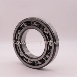 Vòng bi FAG 6300-2ZR-C3, Bạc đạn FAG 6300-2ZR-C3