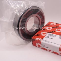 Vòng bi FAG 6310 2RSR 50x110x27mm, Bạc đạn FAG 6310 2RSR 50x110x27mm