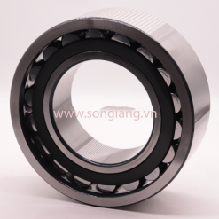 Vòng bi Bạc đạn FAG 804312