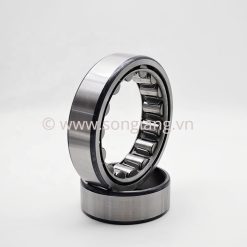 Vòng bi NSK NJ209EW, Bạc đạn NSK NJ209EW 45x85x19mm