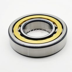 Vòng bi NSK NJ2305EM 25x62x24mm, Bạc đạn NSK NJ2305EM 25x62x24mm