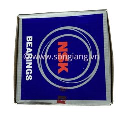 Vòng bi NSK NU222EM 110x200x38mm, Bạc đạn NSK NU222EM 110x200x38mm