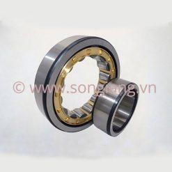 Vòng bi NSK NU2206, Bạc đạn NSK NU2206