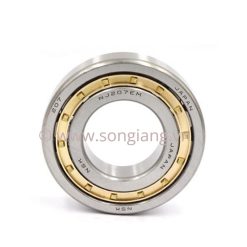 Vòng bi NSK NUP2206, Bạc đạn NSK NUP2206