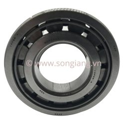 Vòng bi NSK NUP319, Bạc đạn NSK NUP319