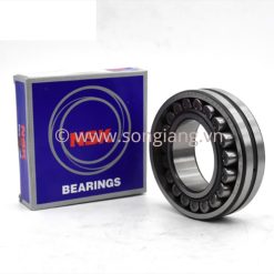 Vòng bi NSK 22219 EAE4, Bạc đạn NSK 22219 EAE4