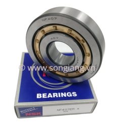 Vòng bi NSK NF2306 NF2307 NF2308 NF2309 NF2310 NF2311NF2312 NF2313 NF2314 NF2315, Bạc đạn NSK NF2306 NF2307 NF2308 NF2309 NF2310 NF2311NF2312 NF2313 NF2314 NF2315