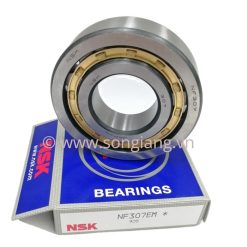 Vòng bi NSK NF310 50x95x27mm, Bạc đạn NSK NF310 50x95x27mm